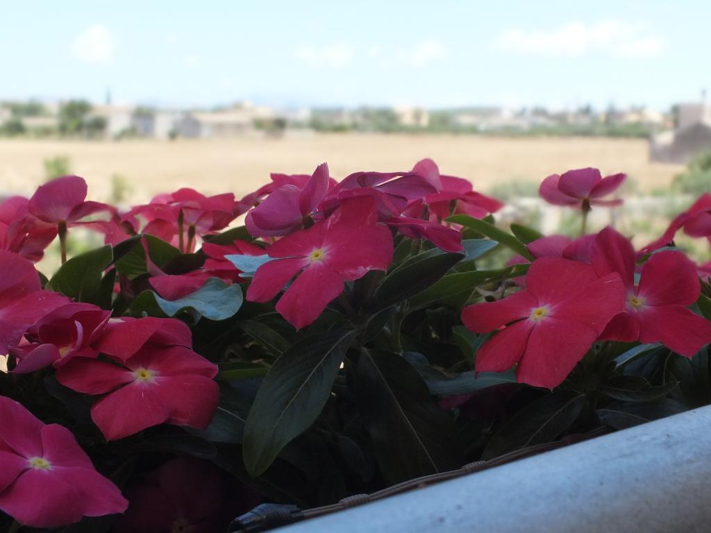 Siciliantica Bed & Breakfast Rilievo Екстериор снимка
